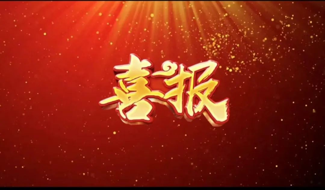 荣誉 | 瓦力游戏荣获&ldquo;2023年杜着秀合作同伴奖，共建共享共赢的范例&rdquo;